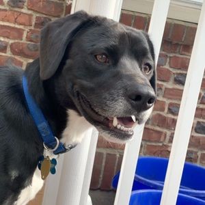 Meet your Posher, Jayden